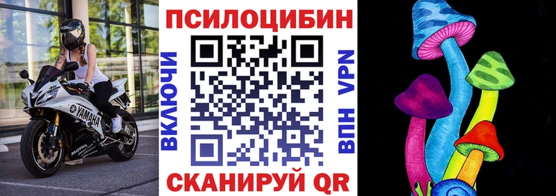 купить наркотик  Ставрополь  KRAKEN зеркало  Псилоцибиновые грибы прущие грибы 